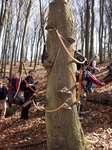 Bogenschießen 010.jpg