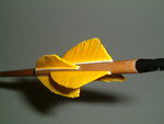 DSCF0010.JPG