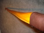 DSC03402.JPG