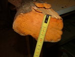 unheimlich schweres un dichtes Holz