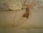 Saplingturnier  2012 029 edit.JPG