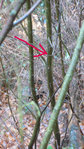 im Habitat