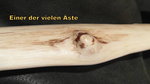 Äste.jpg