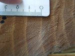 Ringe mit teilweise 10mm Dicke (ohne Frühholz)...