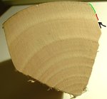 Esche.jpg (106.74 KiB) 4206 mal betrachtet Bild aus dem Bogenwiki