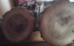 holz.jpg