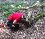 Jo immer schön Rauspulen ;-)