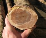 IMG_2504.JPG