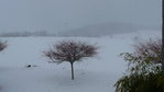 snowland 001.JPG (1002.74 KiB) 2467 mal betrachtet Dienstag, 04.12.2012, 11.00 Uhr ... Schneeeeeeee !