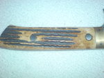 DSC02988.JPG