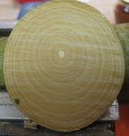 Ringe weder besonders dick, noch besonders dünn