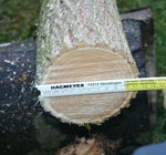 Holler 1 Durchmesser