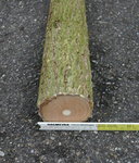 Holler 2 Durchmesser