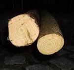 Hasel_Trennfläche.jpg (80.56 KiB) 4488 mal betrachtet Trennfläche