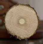 Schnittfläche unten, leider etwas unscharf. Durchmesser 5,5 cm.