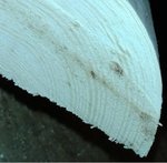 20130320_175745.jpg