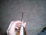 Foto0131.jpg