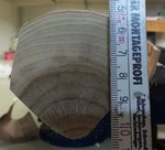 Stirnseite trocken.JPG