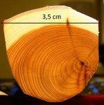 BILD5844.JPG (262.96 KiB) 5974 mal betrachtet Reststück des verwendeten Staves