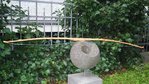 20130826 Schwarzdorn abgespannt UWA links.JPG