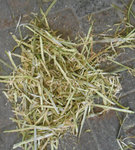 Haselrinde.jpg (398.36 KiB) 13224 mal betrachtet Hasel-Anzug