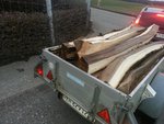 Ausbeute alles Bogenholz
