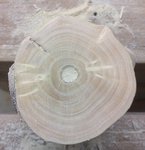 02 Sapling Stirnseite.jpg