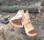 Die ersten zwei Spaltlige