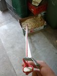 Verlauf der (provisorischen) Sehne