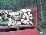 Holz auf Robur.jpg (287.01 KiB) 15863 mal betrachtet Sieht auf den Fotos immer voll wenig aus....;)