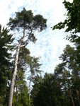 Das wunderbare Wetter im Parcous
