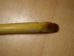 DSC04537.JPG
