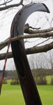 Recurve_Bauch_1.jpg