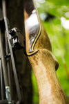 IMG_0928finforum.jpg