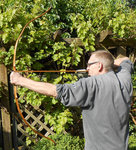 150625 Vollauszug.jpg (395.31 KiB) 4596 mal betrachtet Vollauszug 26"