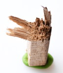 nuss2.jpg (169.68 KiB) 4619 mal betrachtet Bruchansicht, Rücken ist rechts