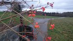 DSC_0109.JPG