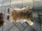 Urlaub2010_031.jpg