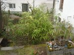 DSC07939.jpg