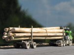 LKW Langholz.jpg