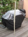 DSC06322.JPG