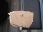 DSC06328.JPG