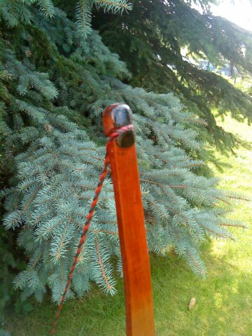 DSC00084 [640x480].JPG