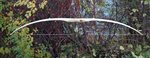 DSC00905.JPG