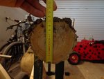 Der Holler - Holz ist unter 10 .... mit Rinde gute 11 ...