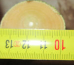 Zufallstreffer exakt 4 Ringe auf einen cm