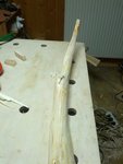 IMG_20170202_221354.jpg