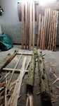 IMG_20170323_195627.jpg