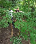 21.jpg (348.79 KiB) 5617 mal betrachtet zwei im Gebüsch verborgene Jungschützen, deren Scheu sich dadurch zu erklären scheint, daß einer von Ihnen gar keinen Bogen führt.
