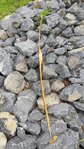 20170729_161758.jpg